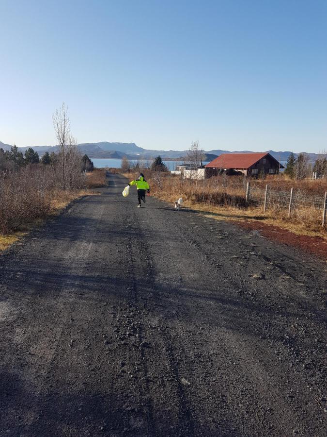 Thingvellir Lake Cottage Veithilundur Экстерьер фото