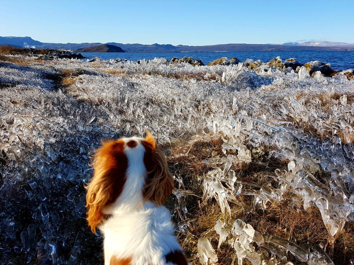 Thingvellir Lake Cottage Veithilundur Экстерьер фото