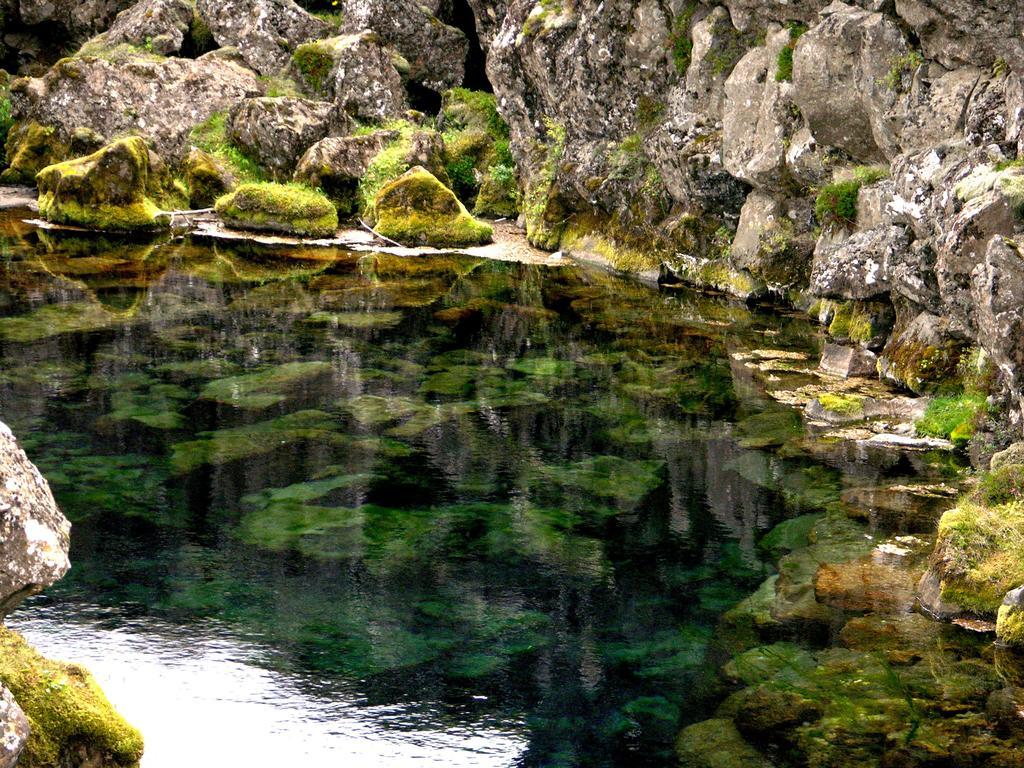 Thingvellir Lake Cottage Veithilundur Номер фото