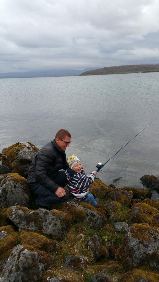 Thingvellir Lake Cottage Veithilundur Экстерьер фото